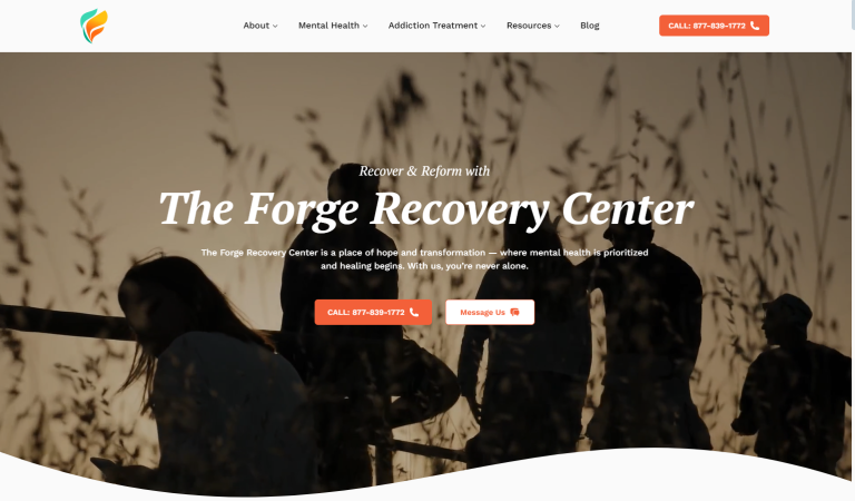 Theforgerecovery.com: Addiction Rehab Site Gets 1100% Increased Traffic In Just 24 Month!